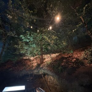 段丘崖の植物ジオラマは珍しい